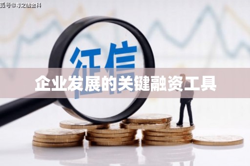 三沙企业发展的关键融资工具