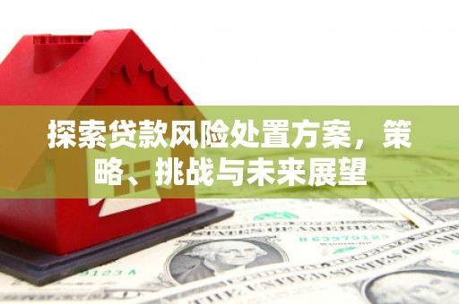 三沙探索贷款风险处置方案，策略、挑战与未来展望
