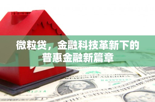 三沙微粒贷，金融科技革新下的普惠金融新篇章