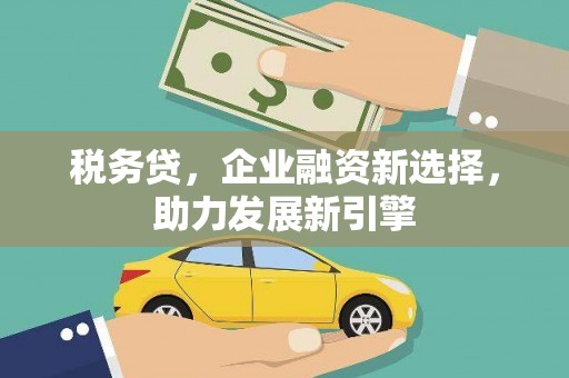 三沙税务贷，企业融资新选择，助力发展新引擎