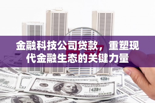 三沙金融科技公司贷款，重塑现代金融生态的关键力量
