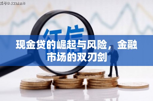 三沙现金贷的崛起与风险，金融市场的双刃剑