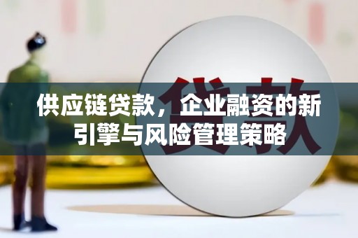 三沙供应链贷款，企业融资的新引擎与风险管理策略