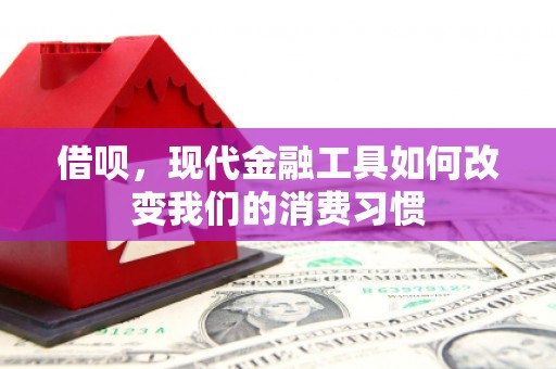 三沙借呗，现代金融工具如何改变我们的消费习惯