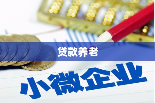 三沙贷款养老