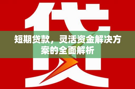 三沙短期贷款，灵活资金解决方案的全面解析