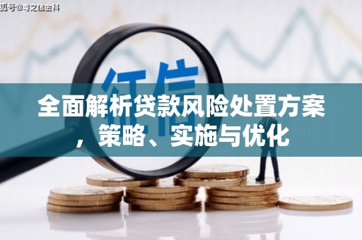 三沙全面解析贷款风险处置方案，策略、实施与优化