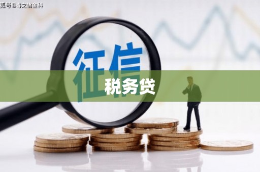 三沙税务贷