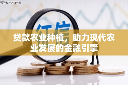 三沙贷款农业种植，助力现代农业发展的金融引擎