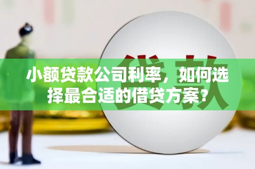 三沙小额贷款公司利率，如何选择最合适的借贷方案？