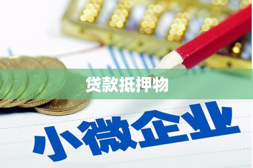 三沙贷款抵押物