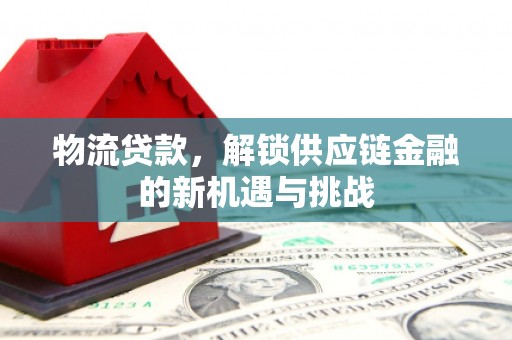 三沙物流贷款，解锁供应链金融的新机遇与挑战