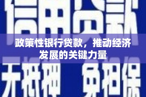 三沙政策性银行贷款，推动经济发展的关键力量