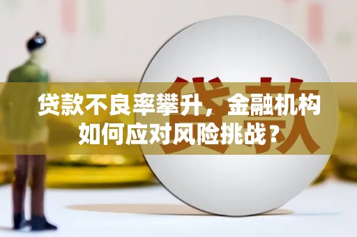 三沙贷款不良率攀升，金融机构如何应对风险挑战？