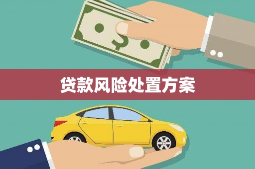 三沙贷款风险处置方案