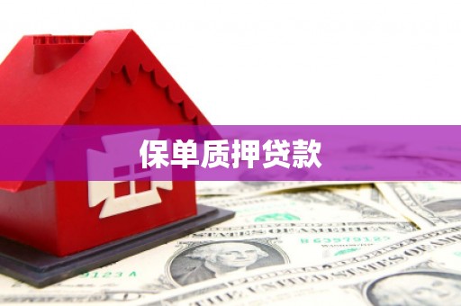 三沙保单质押贷款