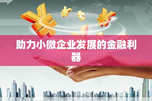 三沙助力小微企业发展的金融利器
