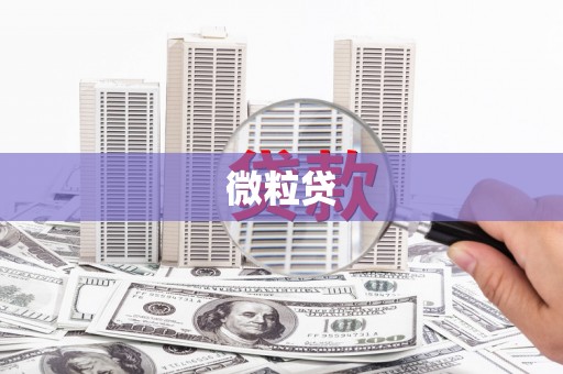 三沙微粒贷