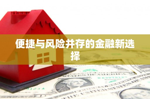 三沙便捷与风险并存的金融新选择