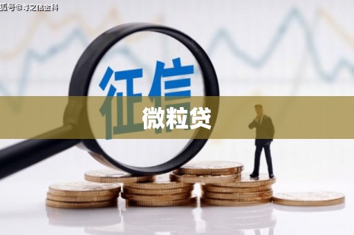 三沙微粒贷