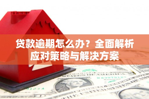 三沙贷款逾期怎么办？全面解析应对策略与解决方案