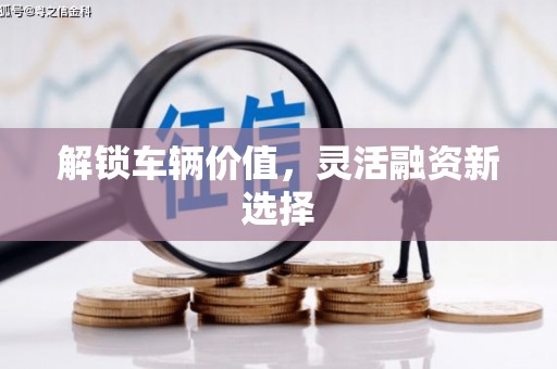 三沙解锁车辆价值，灵活融资新选择