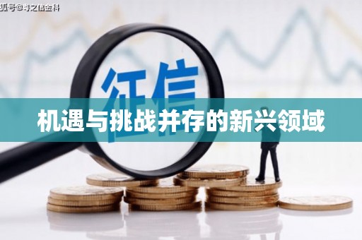 三沙机遇与挑战并存的新兴领域