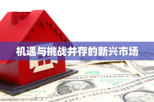 三沙机遇与挑战并存的新兴市场