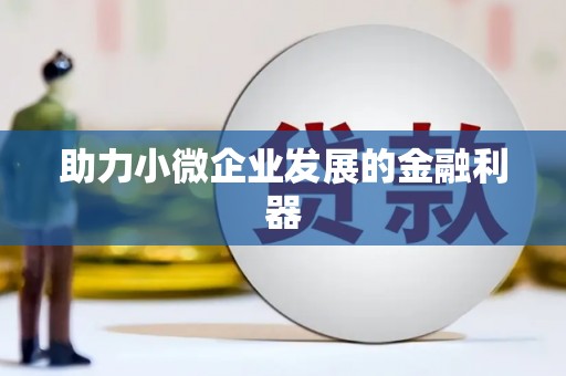 三沙助力小微企业发展的金融利器