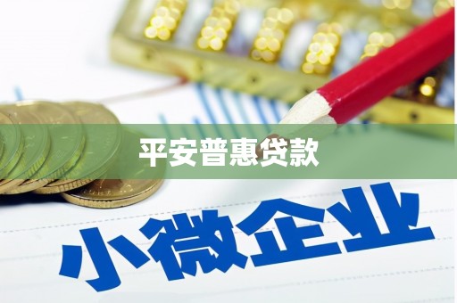 三沙平安普惠贷款