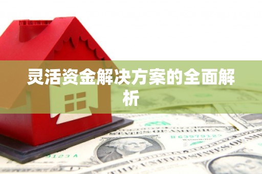 三沙灵活资金解决方案的全面解析